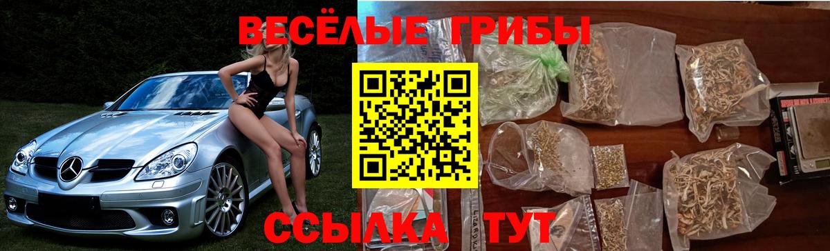 Галлюциногенные грибы Psilocybine cubensis  Вход с VPN  Сланцы 