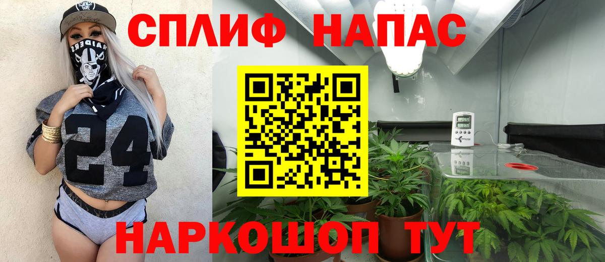 Бошки Шишки конопля  Конопля AK-47  Сланцы  Вход с VPN  МАРИХУАНА MAZAR  Бошки Шишки AK-47 
